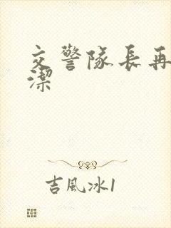 交警队长再遇白洁