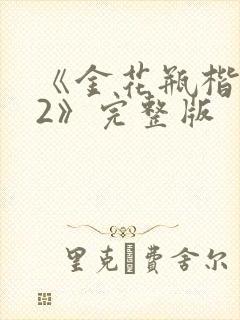 《金花瓶楷梅花2》完整版封面