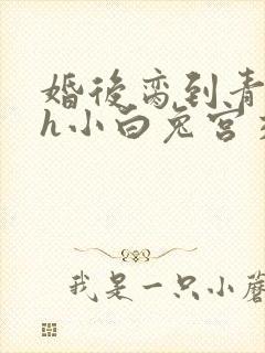 婚后脔到青梅哭h小白兔宫交h