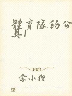 体育队的公用玩具1封面