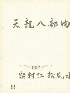 天龙八部肉集