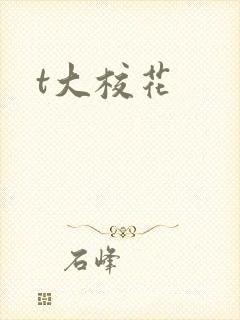 t大校花