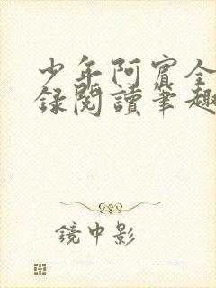 少年阿宾全文目录阅读笔趣阁