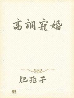 高调宠婚