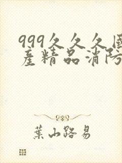 999久久久国产精品消防器材