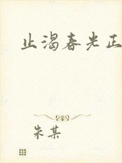 止渴春光正好封面