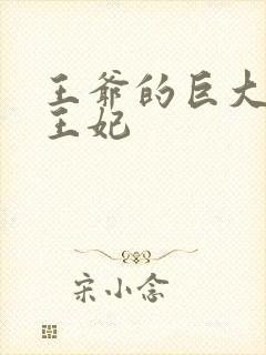 王爷的巨大进入王妃封面