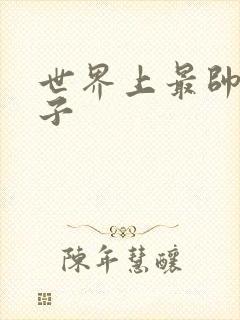 世界上最帅的虫子封面