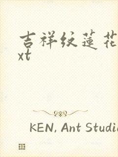 吉祥纹莲花楼txt