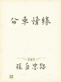 公车情缘封面