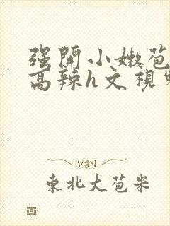 强开小嫩苞h文高辣h文视频封面