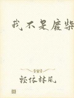 我不是废柴封面