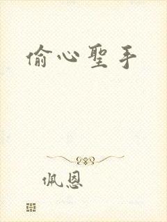 偷心圣手