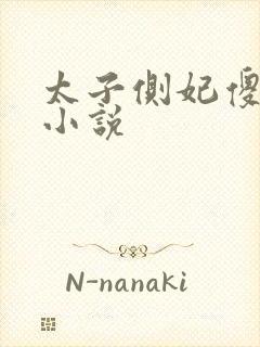 太子侧妃傻乎乎小说