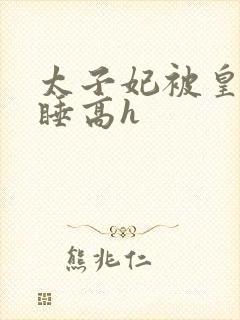 太子妃被皇上强睡高h