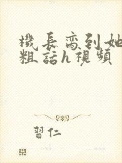 机长脔到她哭h粗话h视频