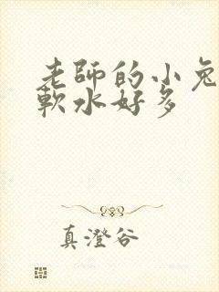 老师的小兔子好软水好多