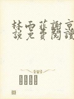 林雨菲谢京墨小说免费阅读笔趣阁封面