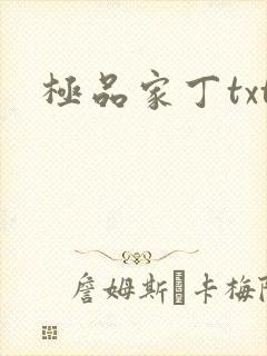 极品家丁txt