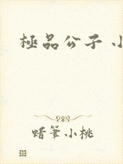 极品公子 小说封面