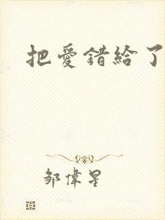 把爱错给了你封面