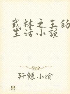 武林之王的退隐生活小说封面