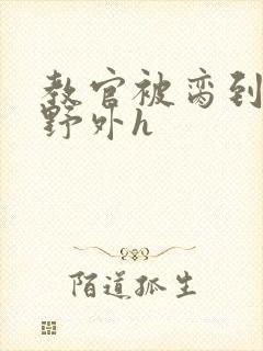 教官被脔到高潮野外h