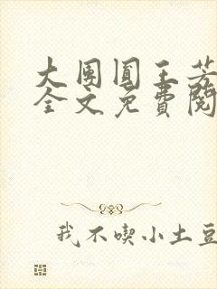 大团圆王芳高敏全文免费阅读