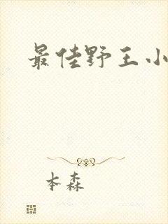 最佳野王小说封面