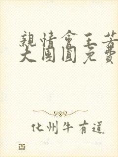 亲情会王芳高敏大团圆免费阅读