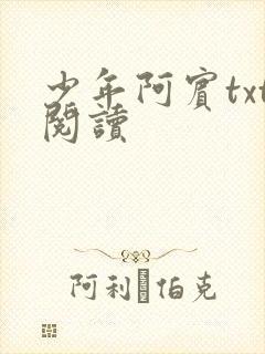 少年阿宾txt阅读