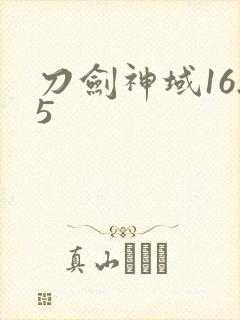 刀剑神域16.5封面