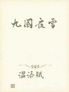 九国夜雪