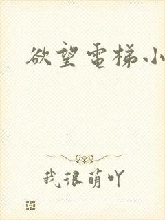 欲望电梯小说封面