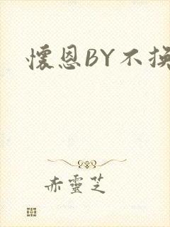 怀恩BY不换