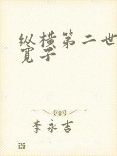 纵横第二世界 宽子封面