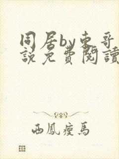 同居by东哥小说免费阅读全文无弹窗