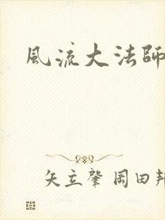 风流大法师封面