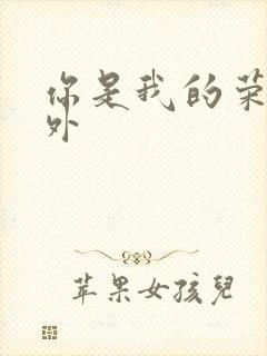 你是我的荣耀番外