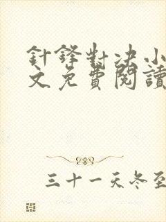 针锋对决小说全文免费阅读完整版封面