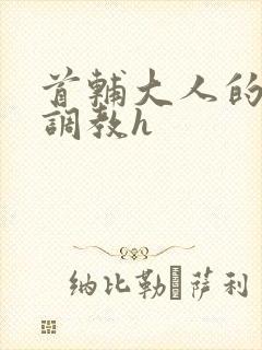 首辅大人的花式调教h