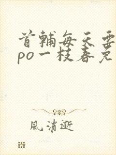 首辅每天要不够po一枝春免费阅读