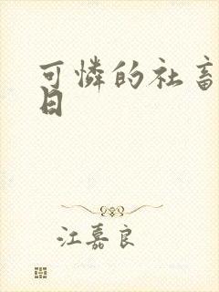 可怜的社畜东度日