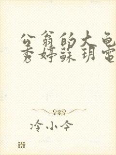 公翁的大龟挺进秀婷苏玥电影