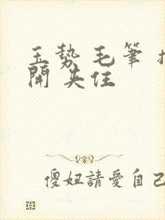 玉势 毛笔 撑开 夹住封面