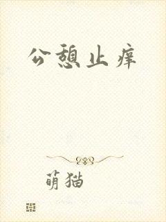 公憩止痒封面