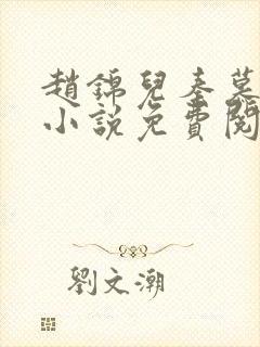 赵锦儿秦慕修的小说免费阅读全文