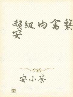 超级肉禽系统保安