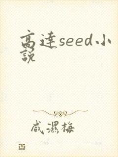 高达seed小说