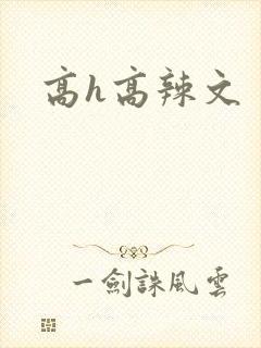 高h高辣文封面